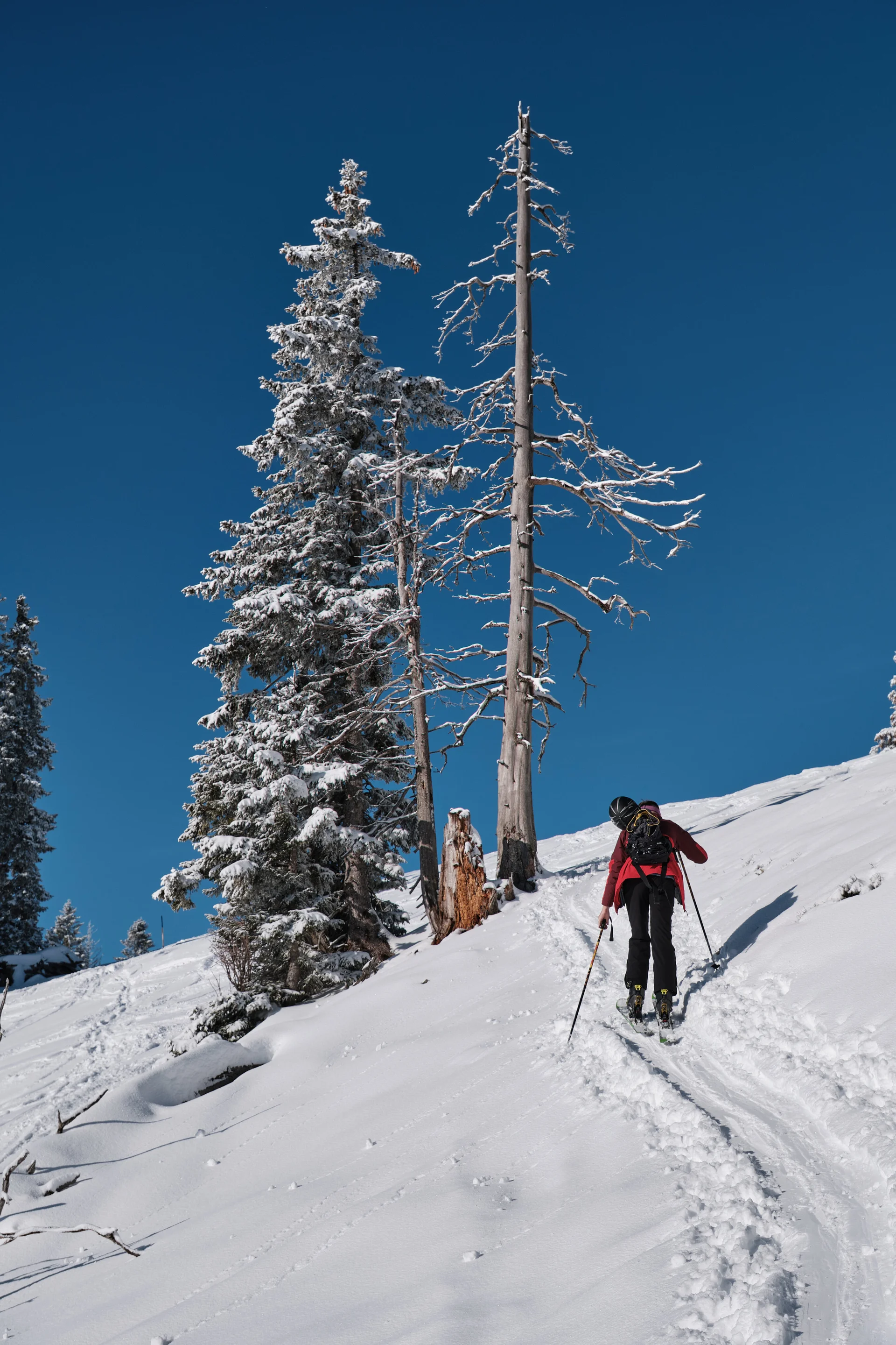 JDAV Schwabach Skitour Oberstdorf 2022 | © Benedikt Rauh