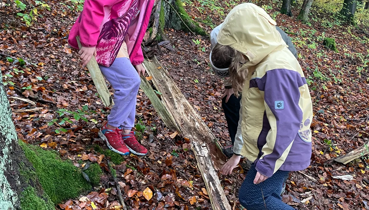 Düsselbacher Hütte 2023 | © Sophie Heislbetz