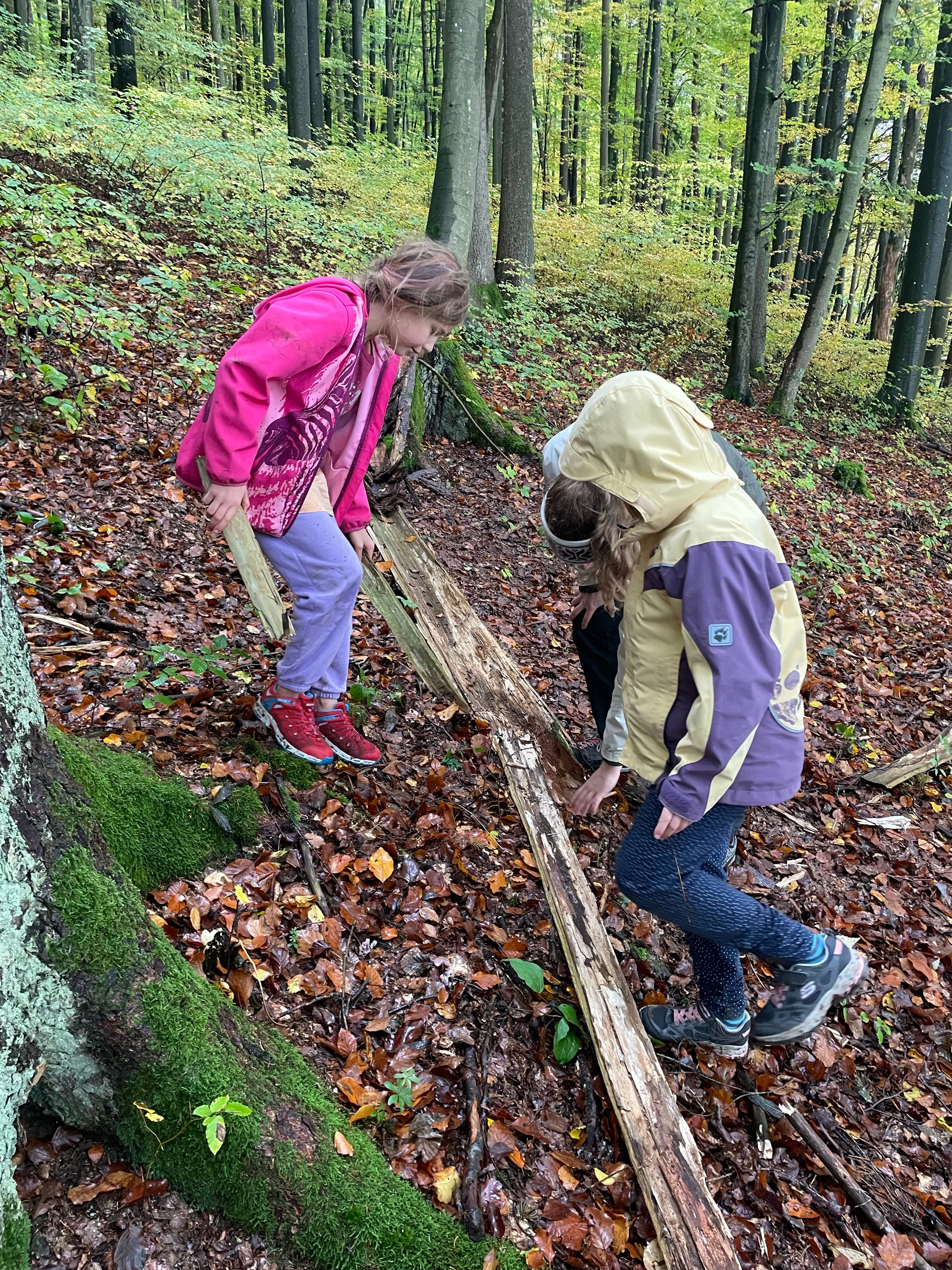 Düsselbacher Hütte 2023 | © Sophie Heislbetz