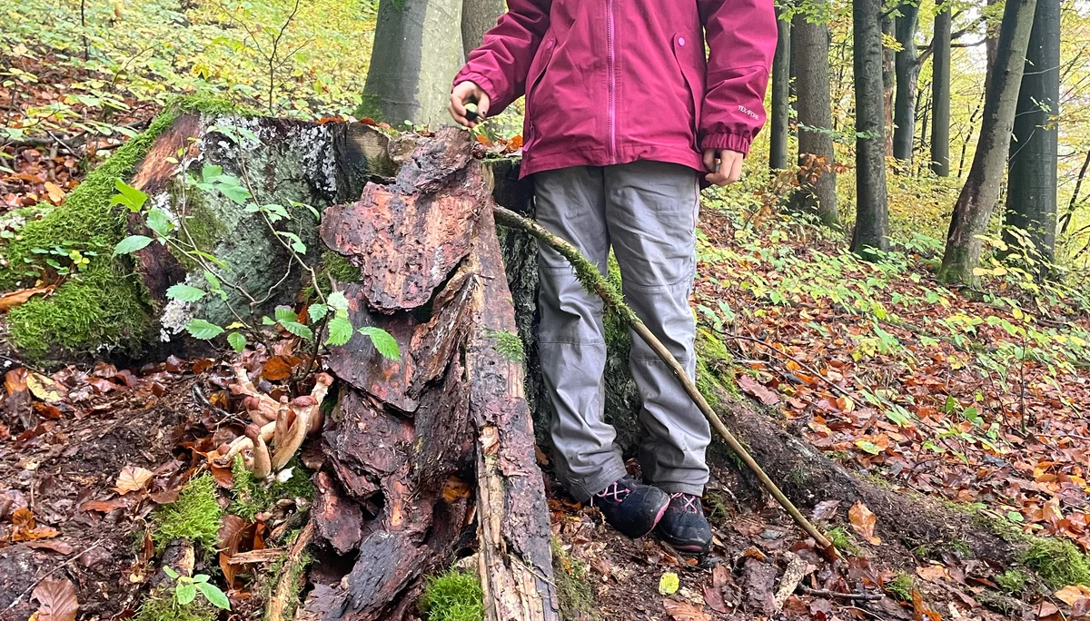 Düsselbacher Hütte 2023 | © Sophie Heislbetz