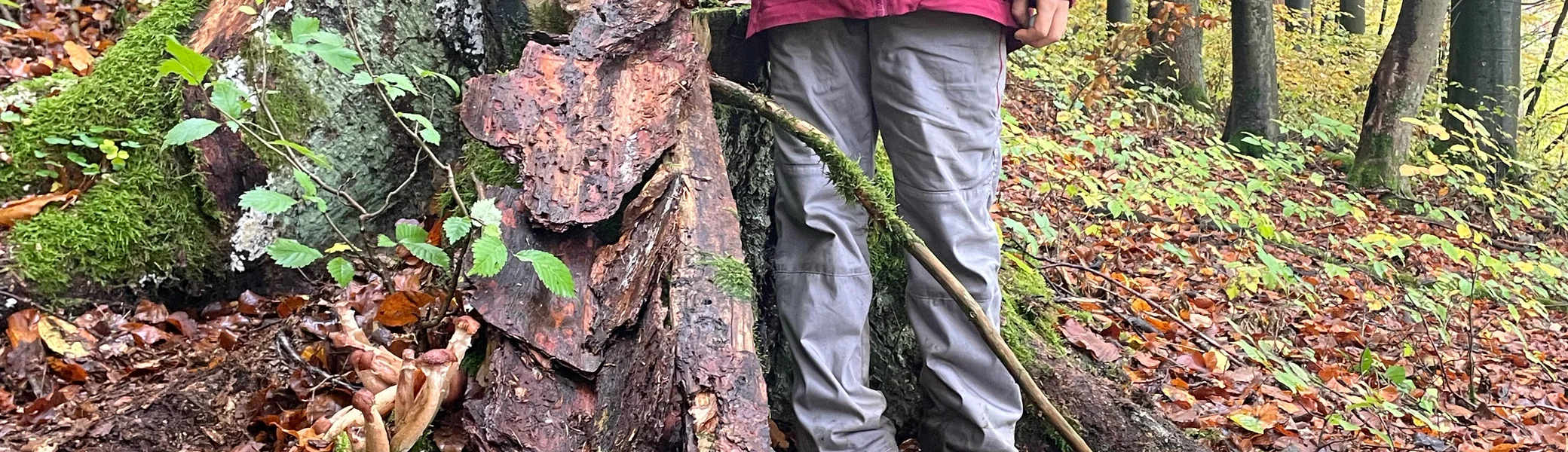 Düsselbacher Hütte 2023 | © Sophie Heislbetz