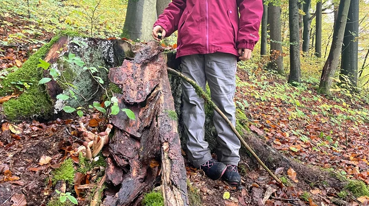 Düsselbacher Hütte 2023 | © Sophie Heislbetz