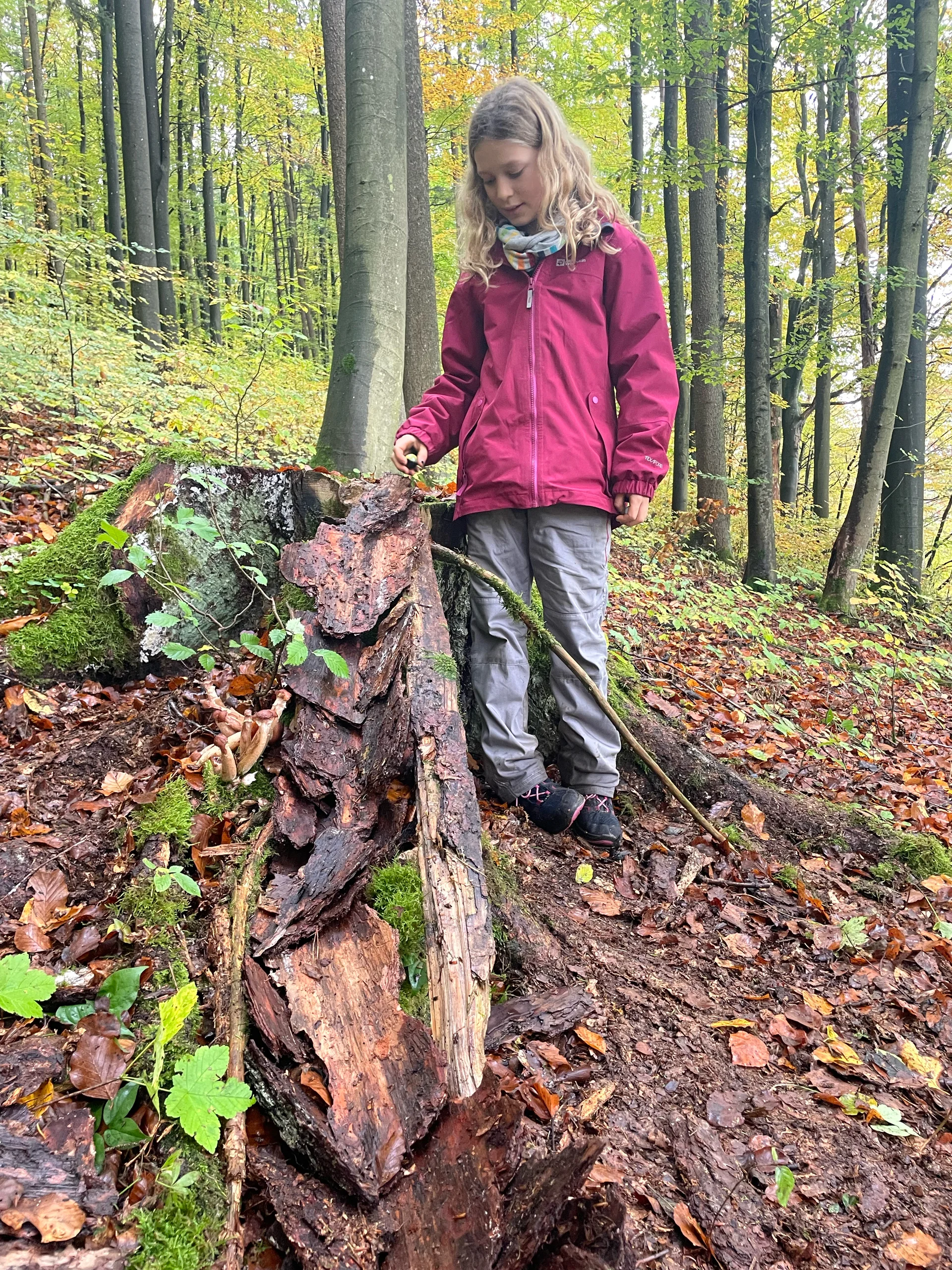 Düsselbacher Hütte 2023 | © Sophie Heislbetz