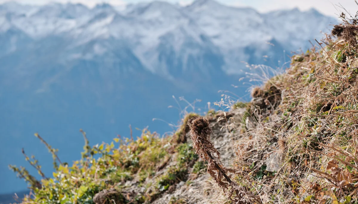 Klettern Schüsselkar 2023 | © Benedikt Rauh