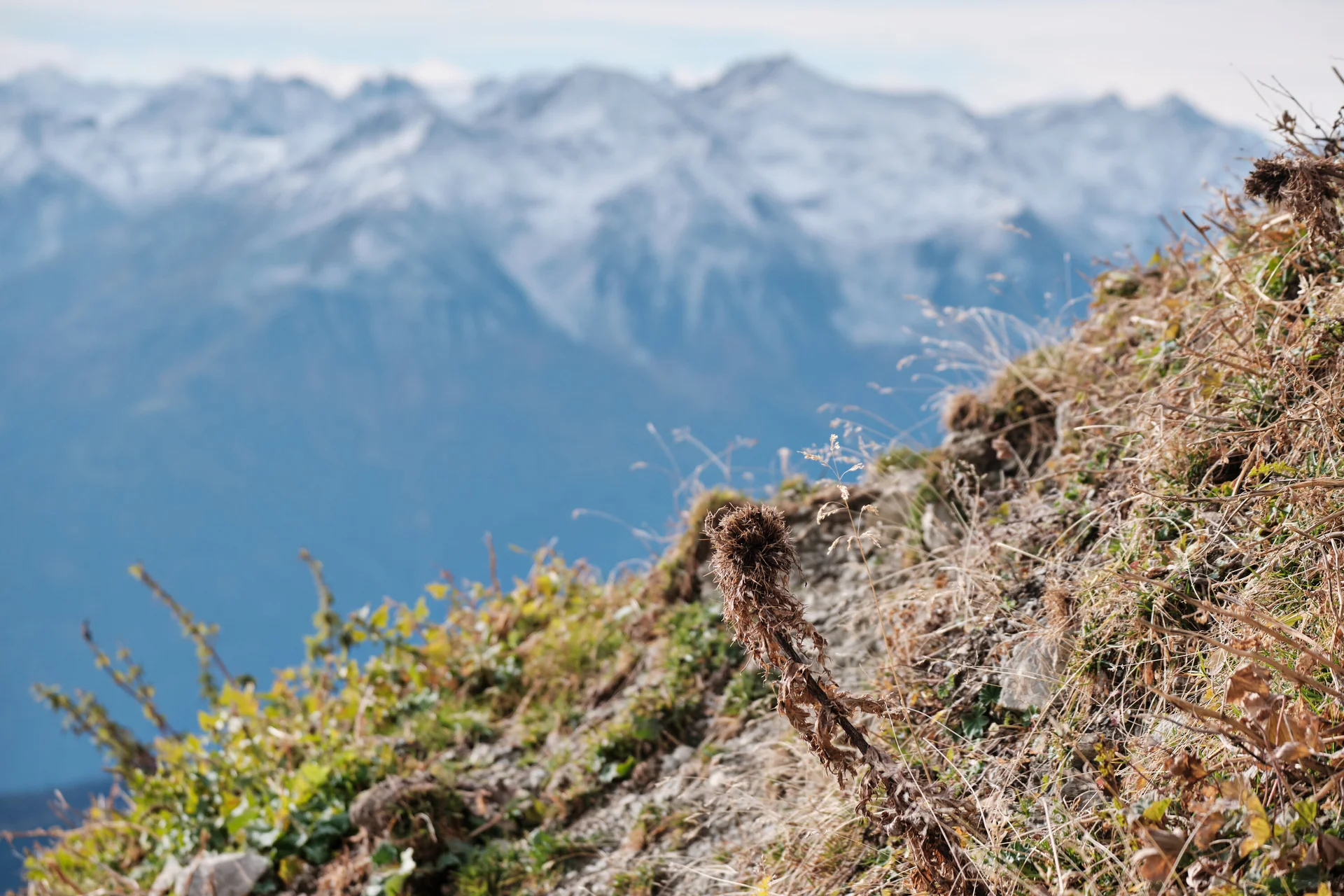 Klettern Schüsselkar 2023 | © Benedikt Rauh