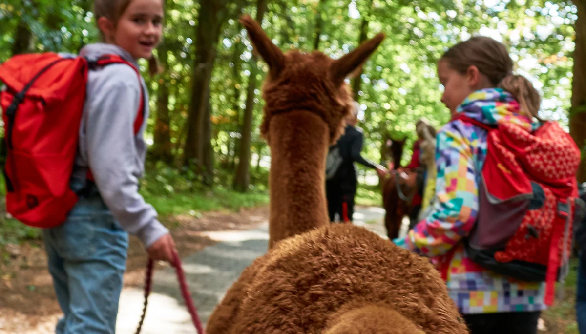 Alpaca Wanderung 2023 | © Inka Scheller