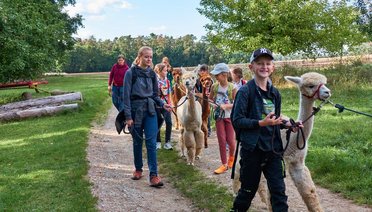 Alpaca Wanderung 2023 | © Inka Scheller