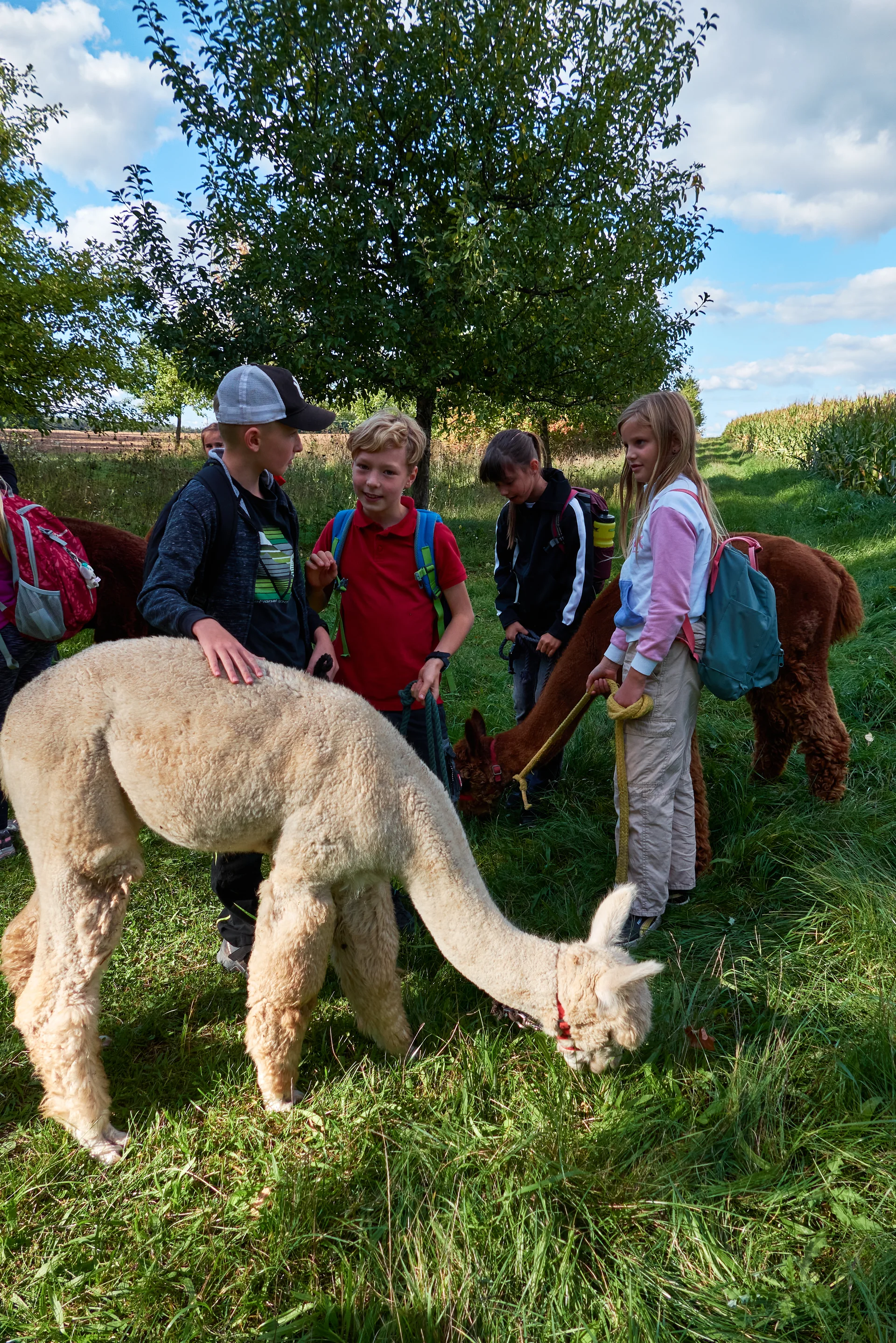 Alpaca Wanderung 2023 | © Inka Scheller