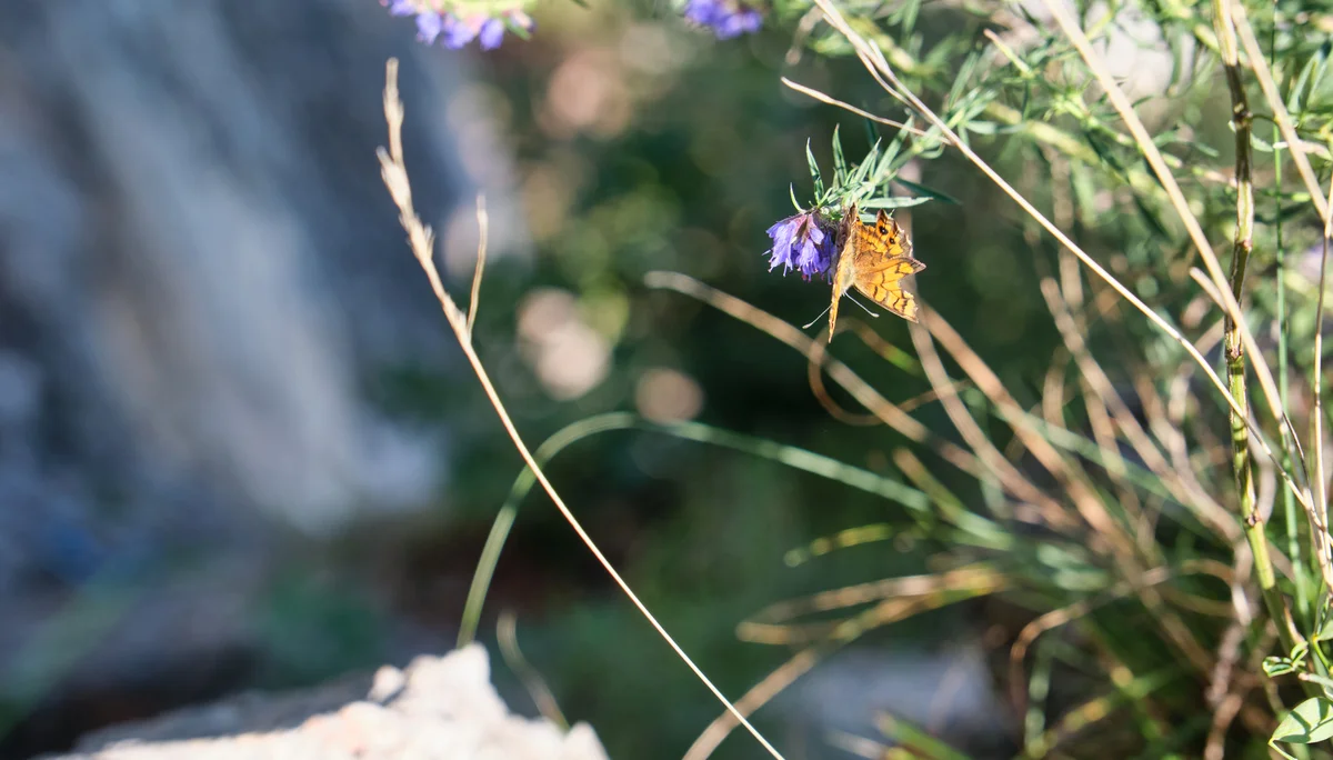 Arco 2023 | © Benedikt Rauh