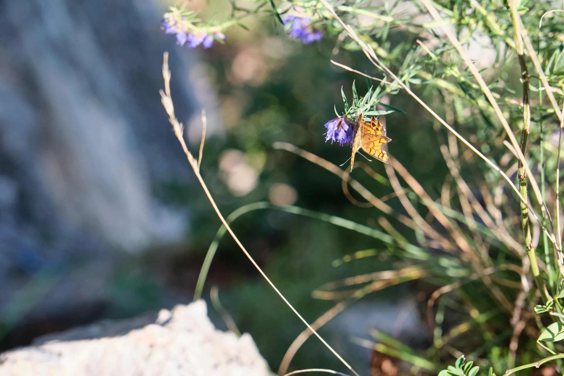 Arco 2023 | © Benedikt Rauh