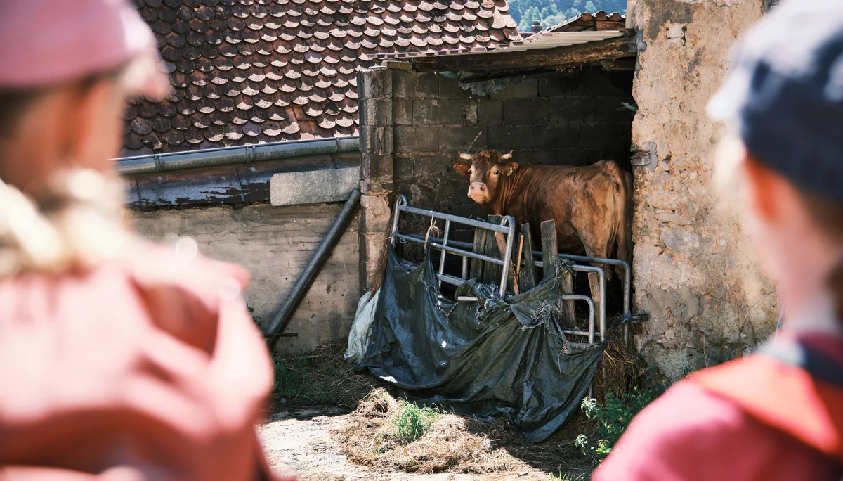  Jugend12 Klettern Vorra 2023 | © Benedikt Rauh