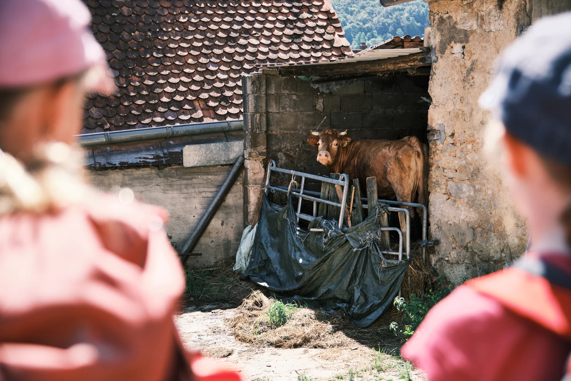  Jugend12 Klettern Vorra 2023 | © Benedikt Rauh