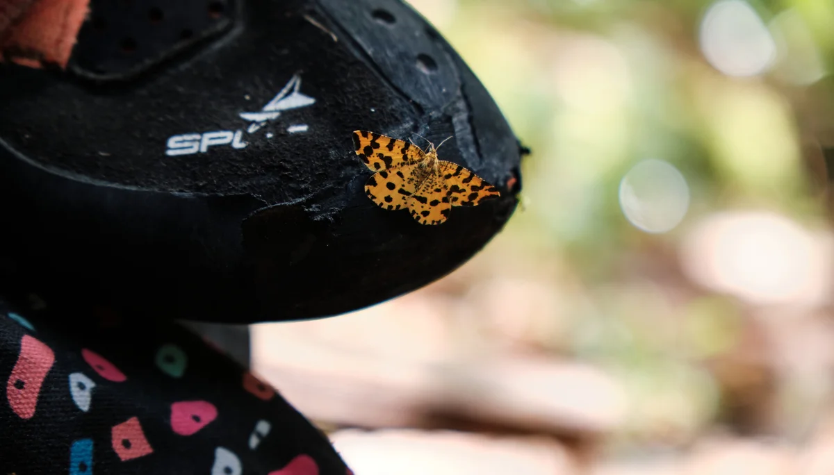 Klettern Oberreintal 2023 | © Benedikt Rauh