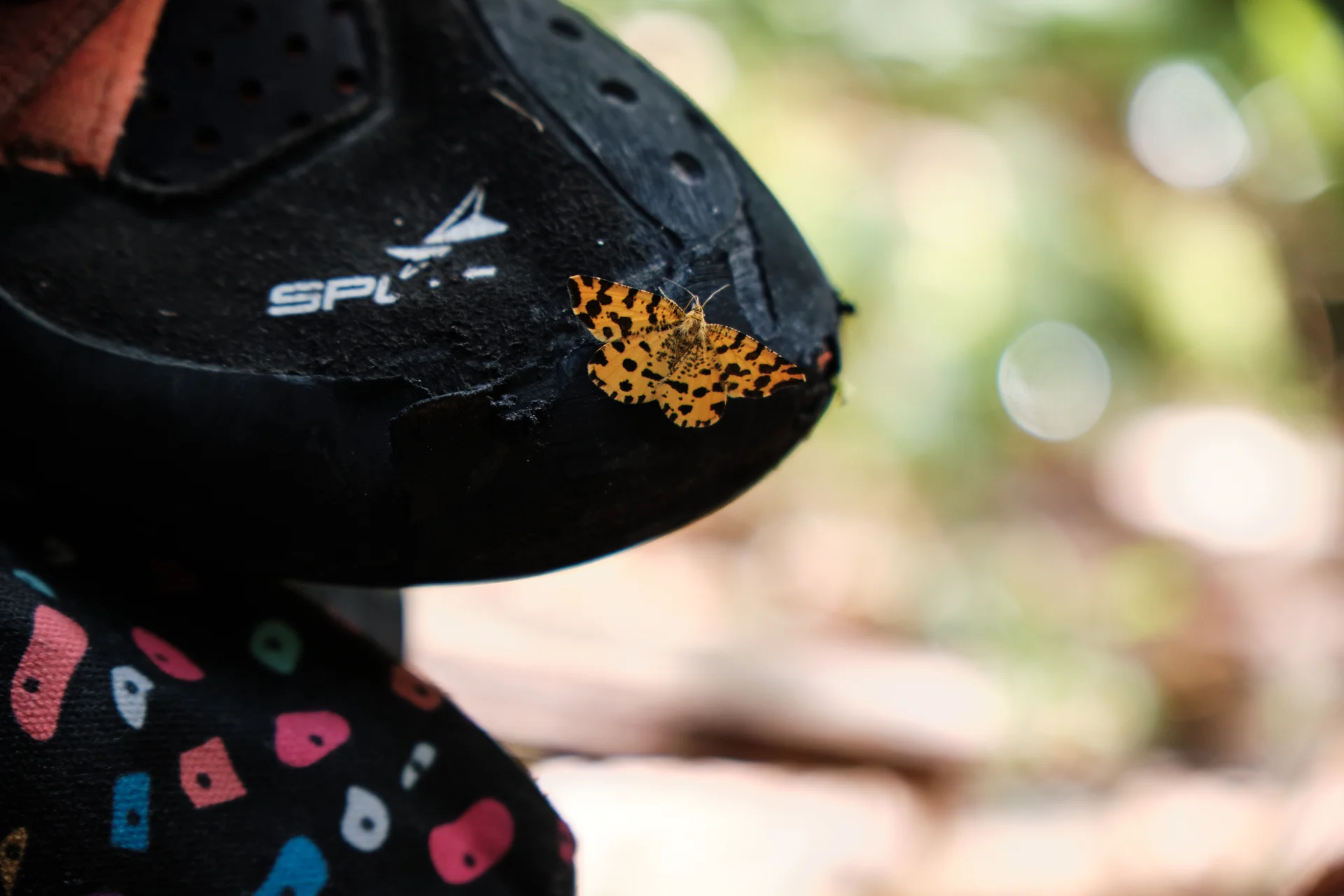 Klettern Oberreintal 2023 | © Benedikt Rauh