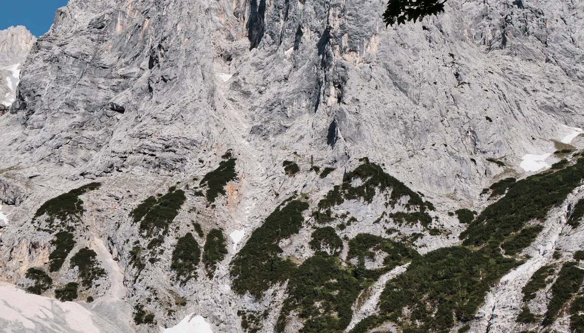 © Benedikt Rauh