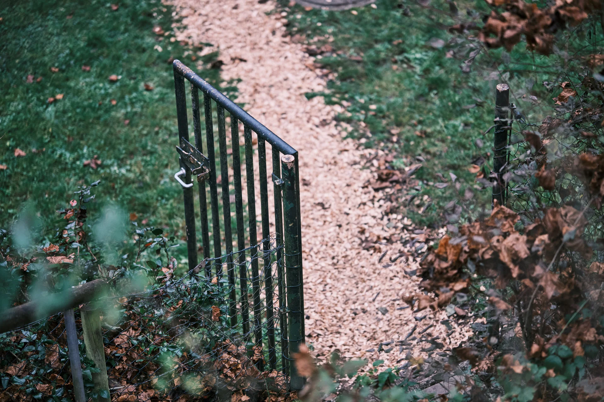 Düsselbacher Hütte 2024 | © Benedikt Rauh