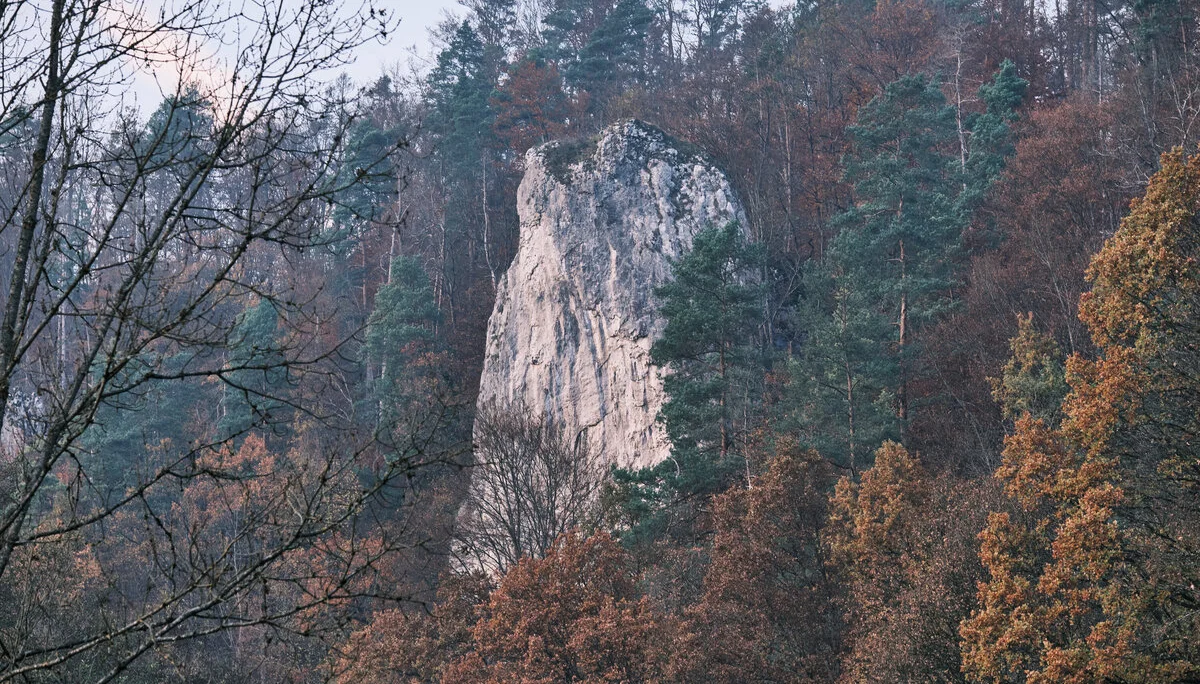 Düsselbacher Hütte 2024 | © Benedikt Rauh