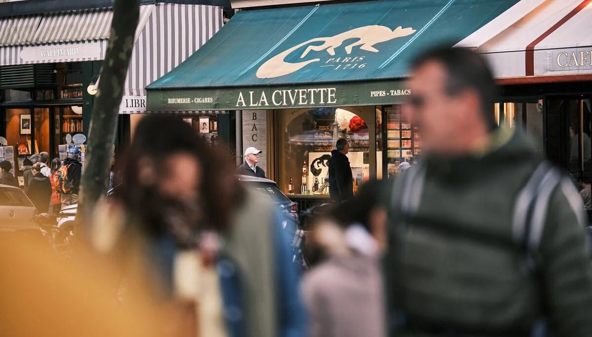 Fontainebleau 2024 | © Benedikt Rauh