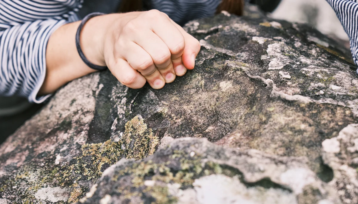 Fontainebleau 2024 | © Benedikt Rauh
