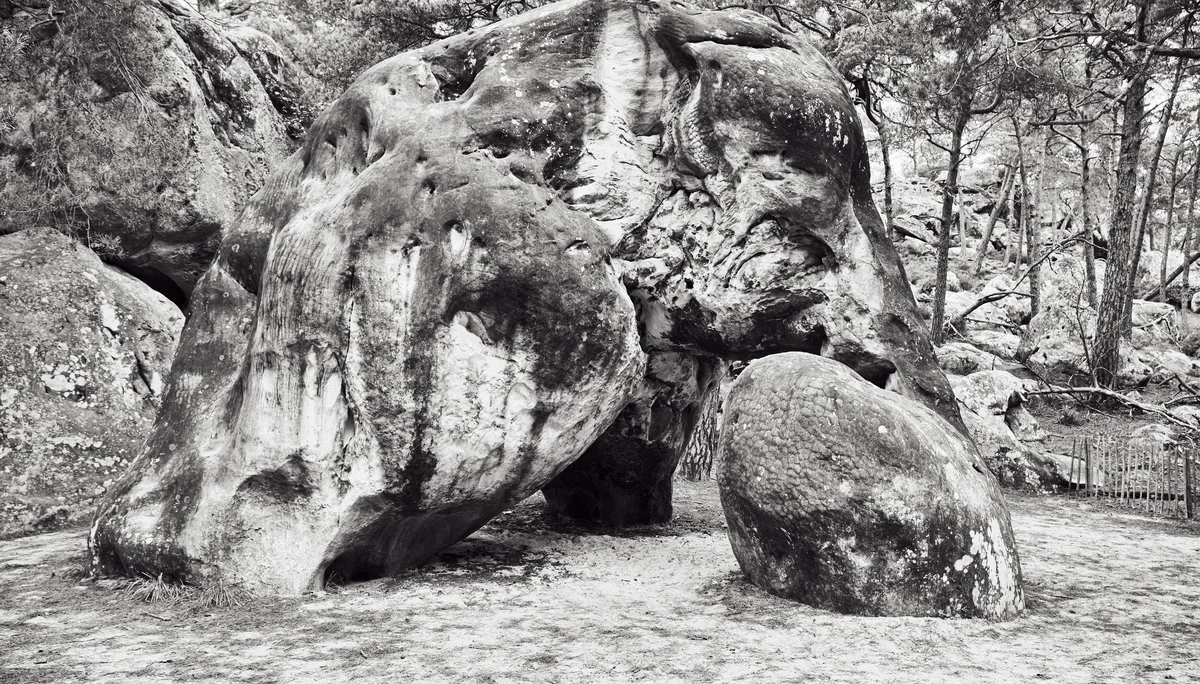 Fontainebleau 2024 | © Benedikt Rauh