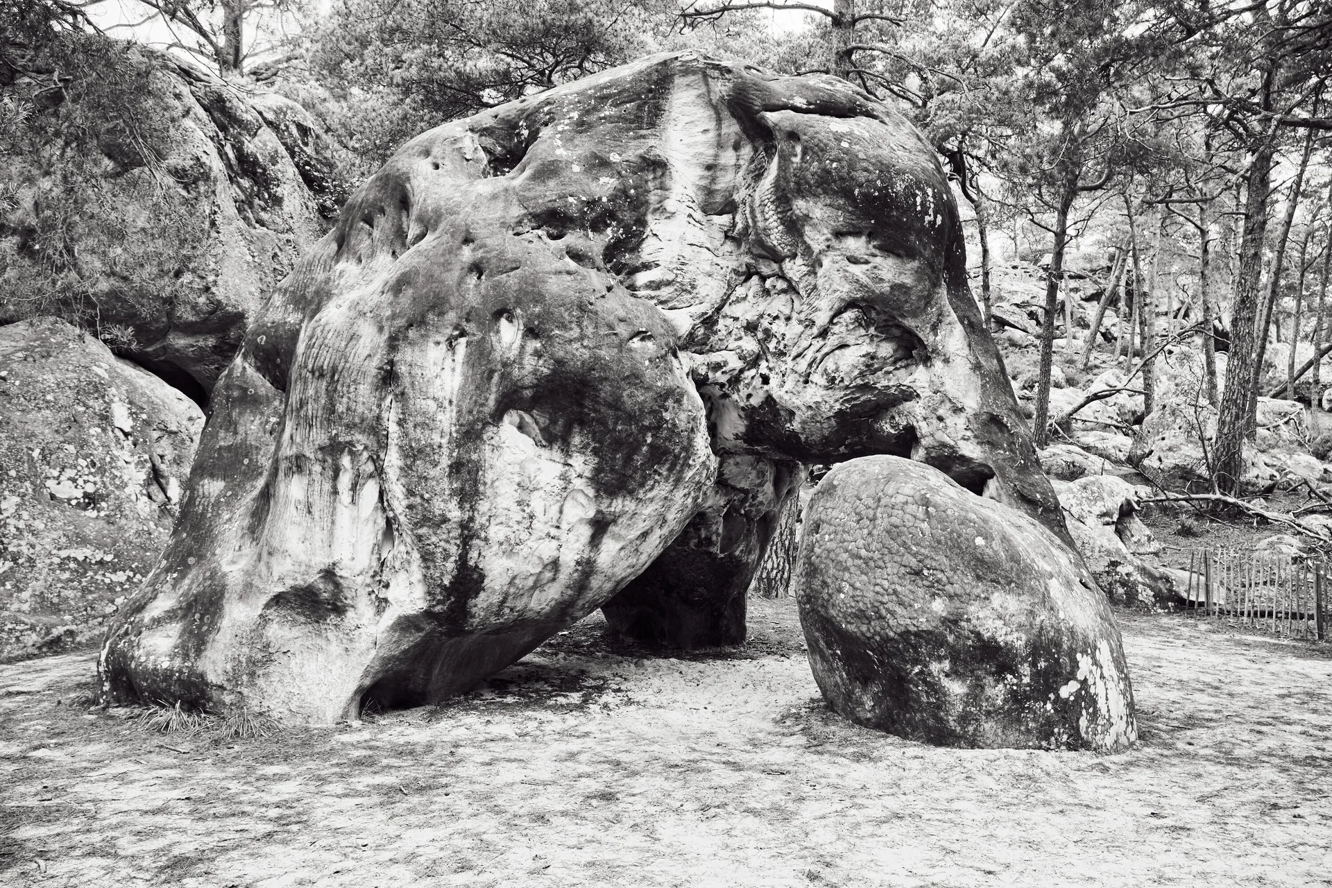 Fontainebleau 2024 | © Benedikt Rauh