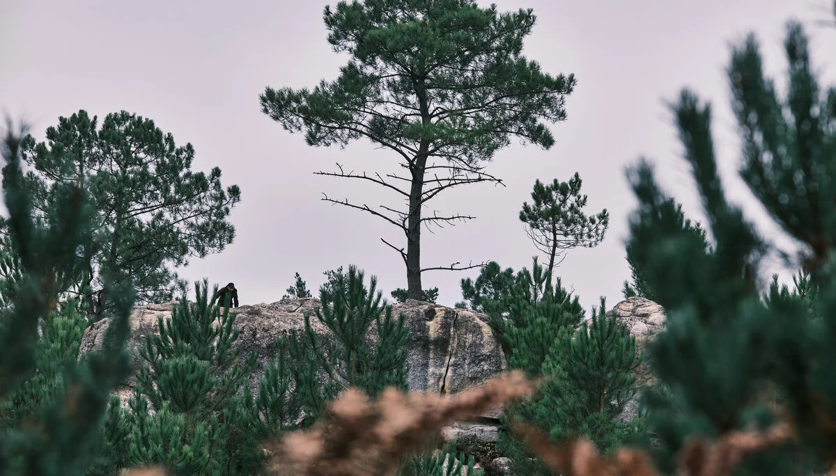 Fontainebleau 2024 | © Benedikt Rauh