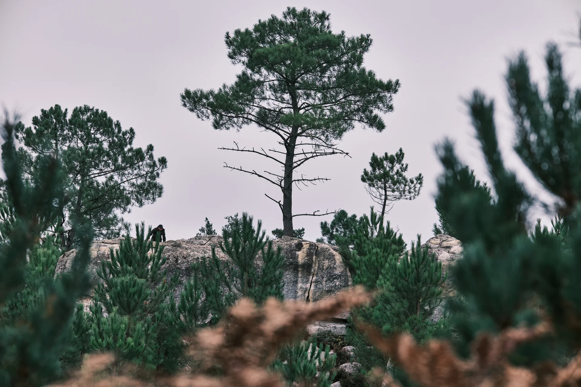 Fontainebleau 2024 | © Benedikt Rauh