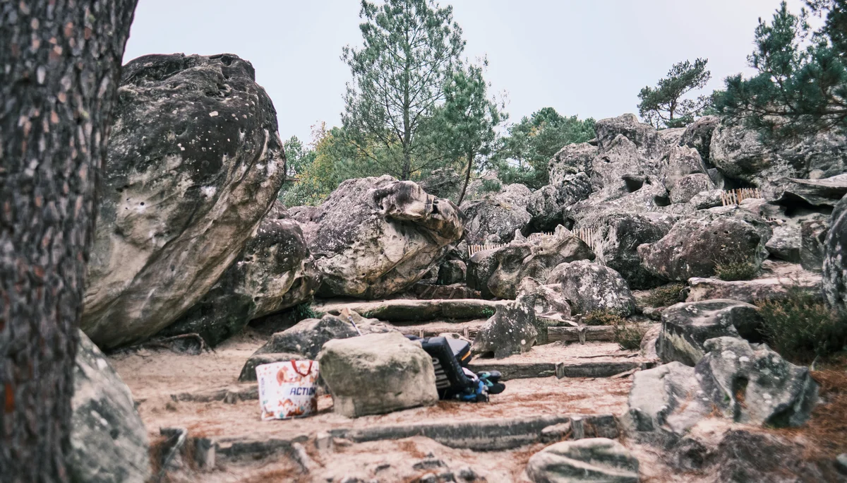 Fontainebleau 2024 | © Benedikt Rauh