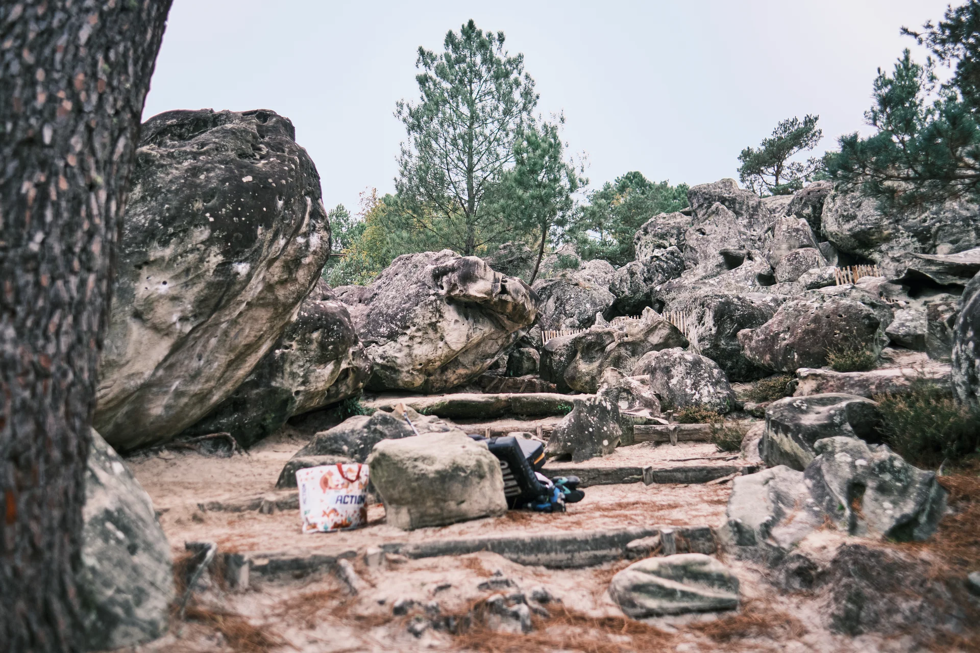 Fontainebleau 2024 | © Benedikt Rauh