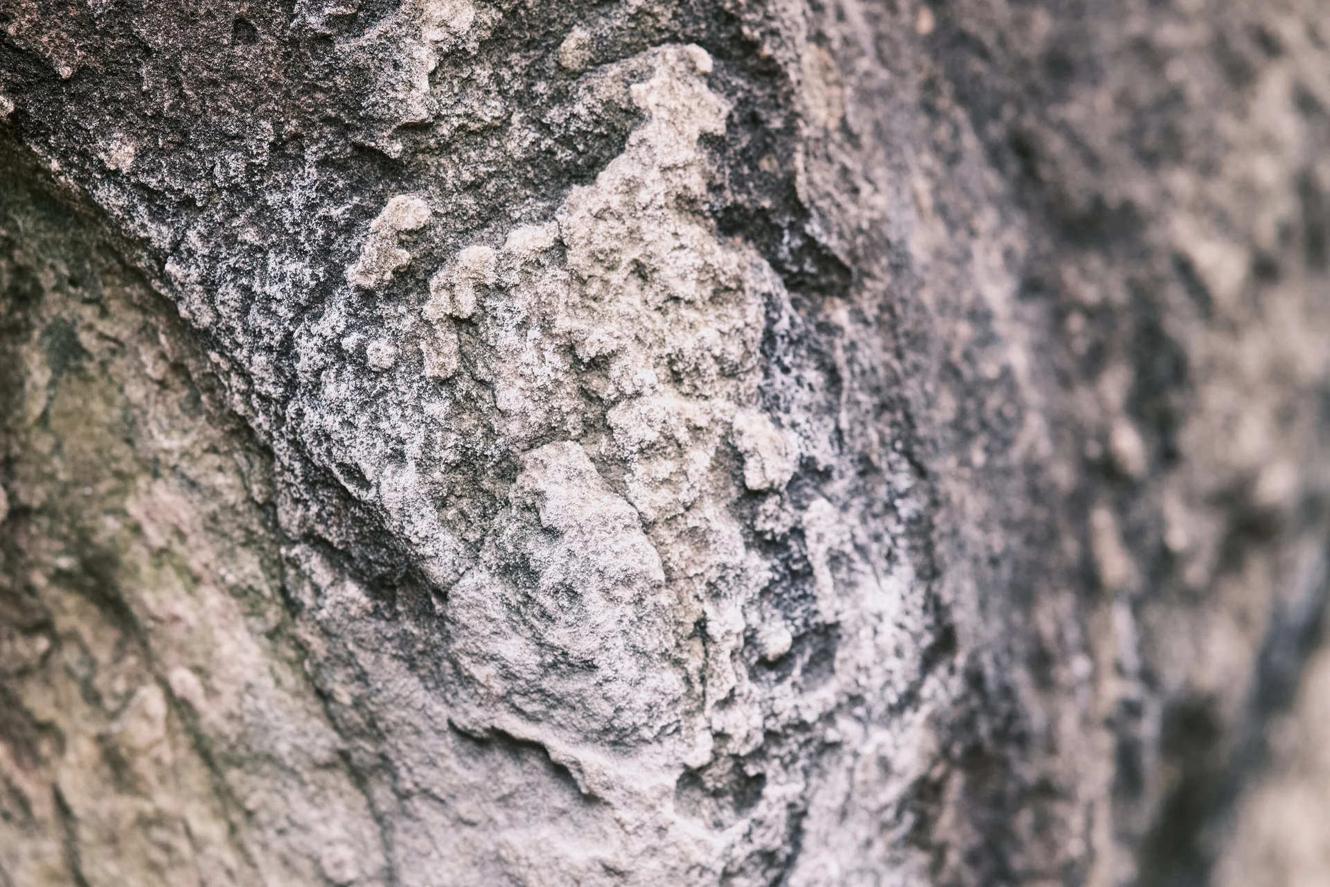 Fontainebleau 2024 | © Benedikt Rauh