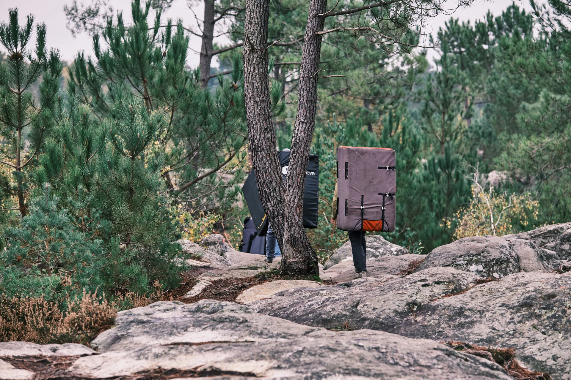 Fontainebleau 2024 | © Benedikt Rauh