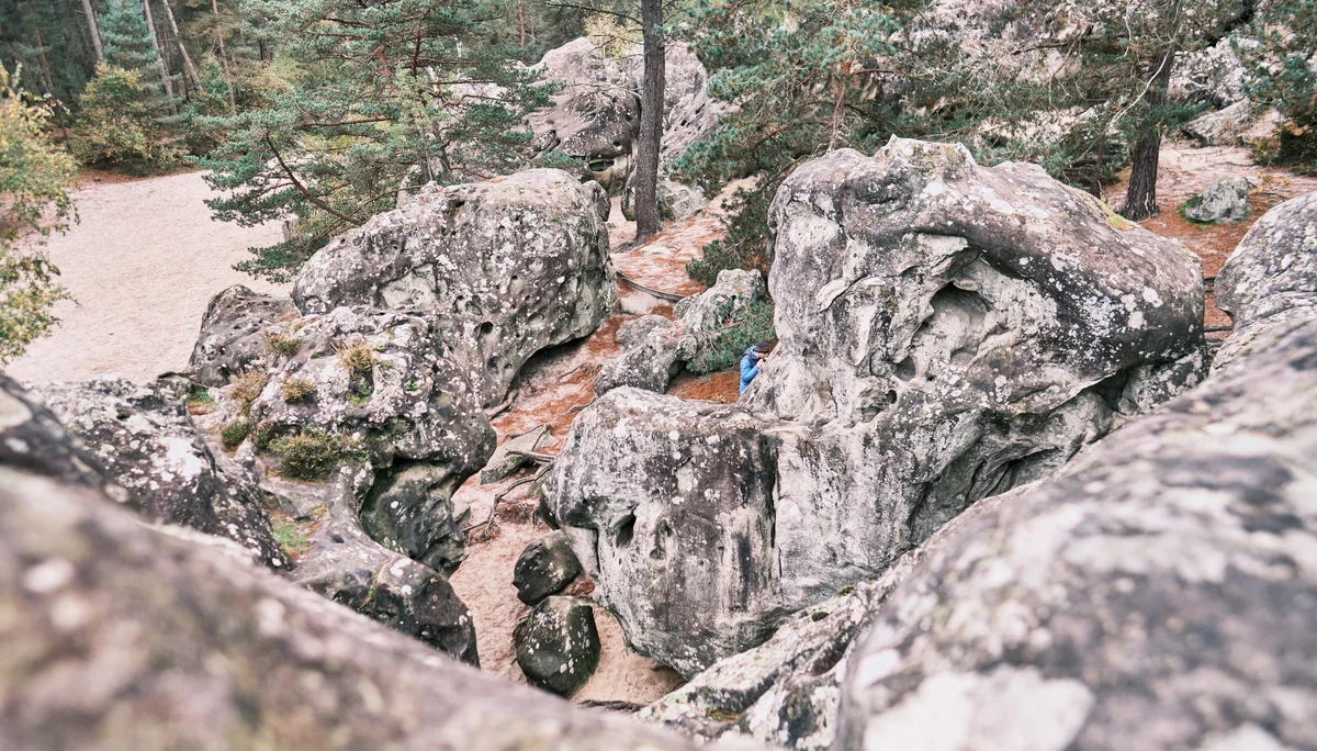 Fontainebleau 2024 | © Benedikt Rauh