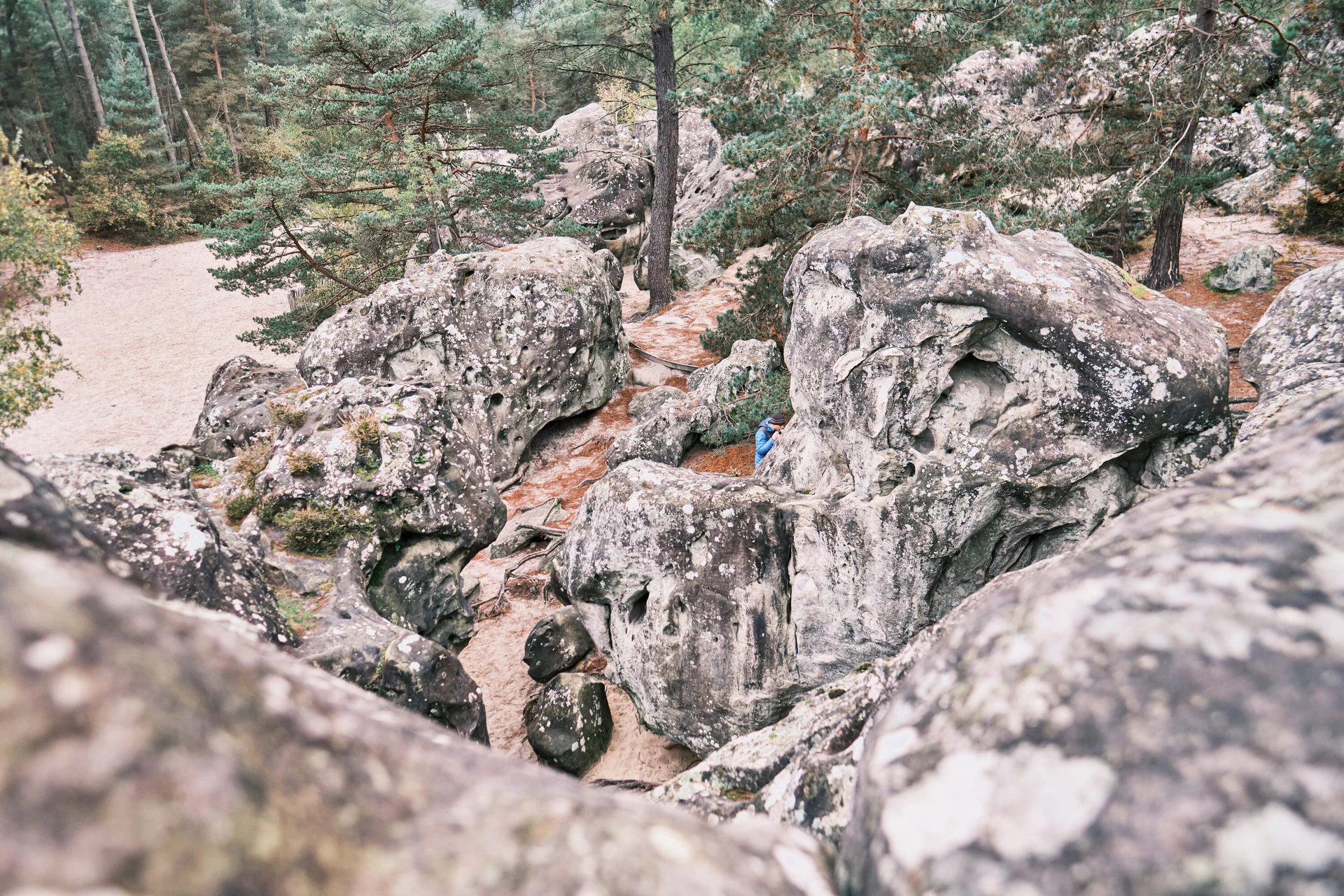 Fontainebleau 2024 | © Benedikt Rauh