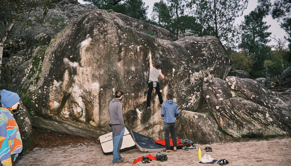 Fontainebleau 2024 | © Benedikt Rauh