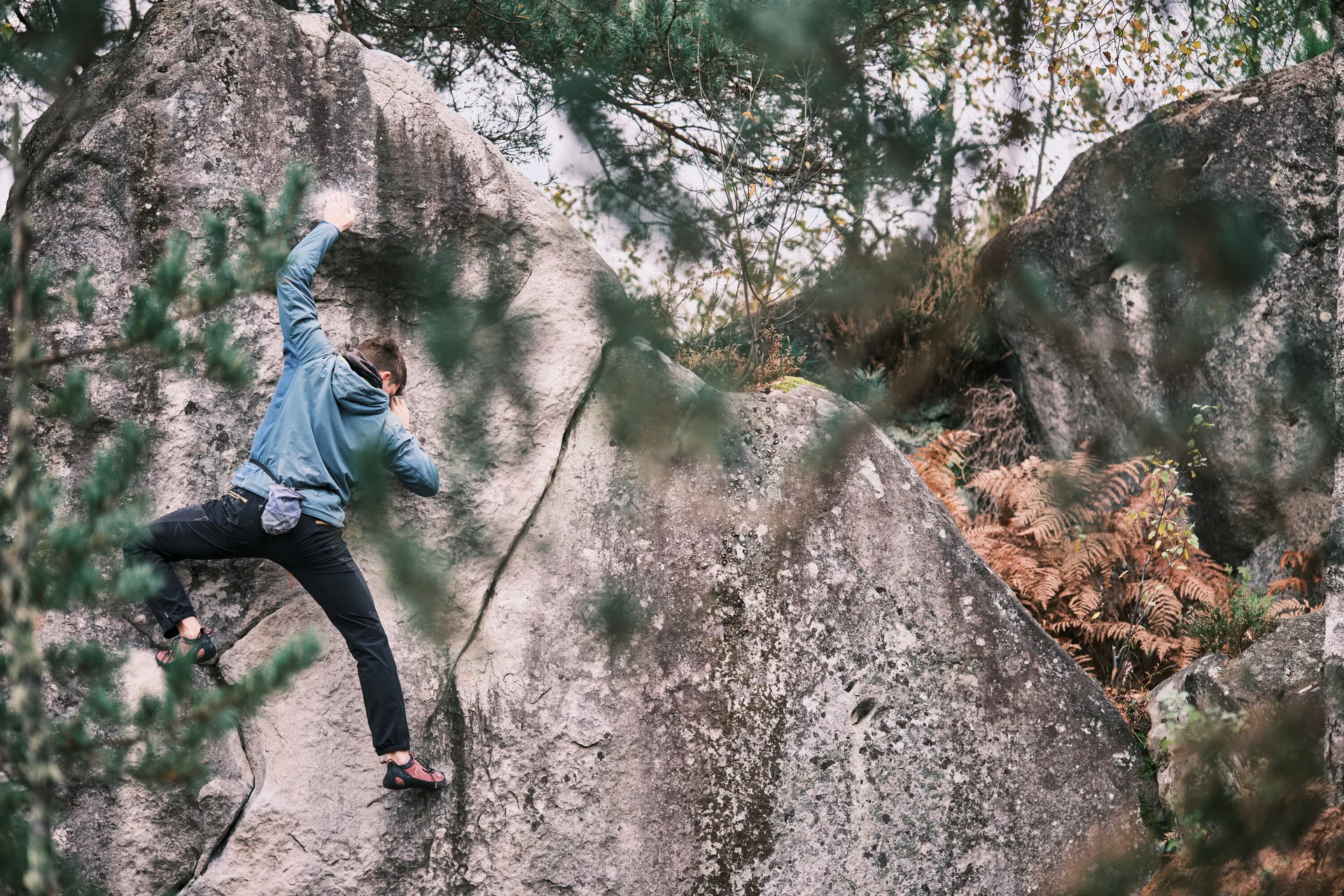 Fontainebleau 2024 | © Benedikt Rauh