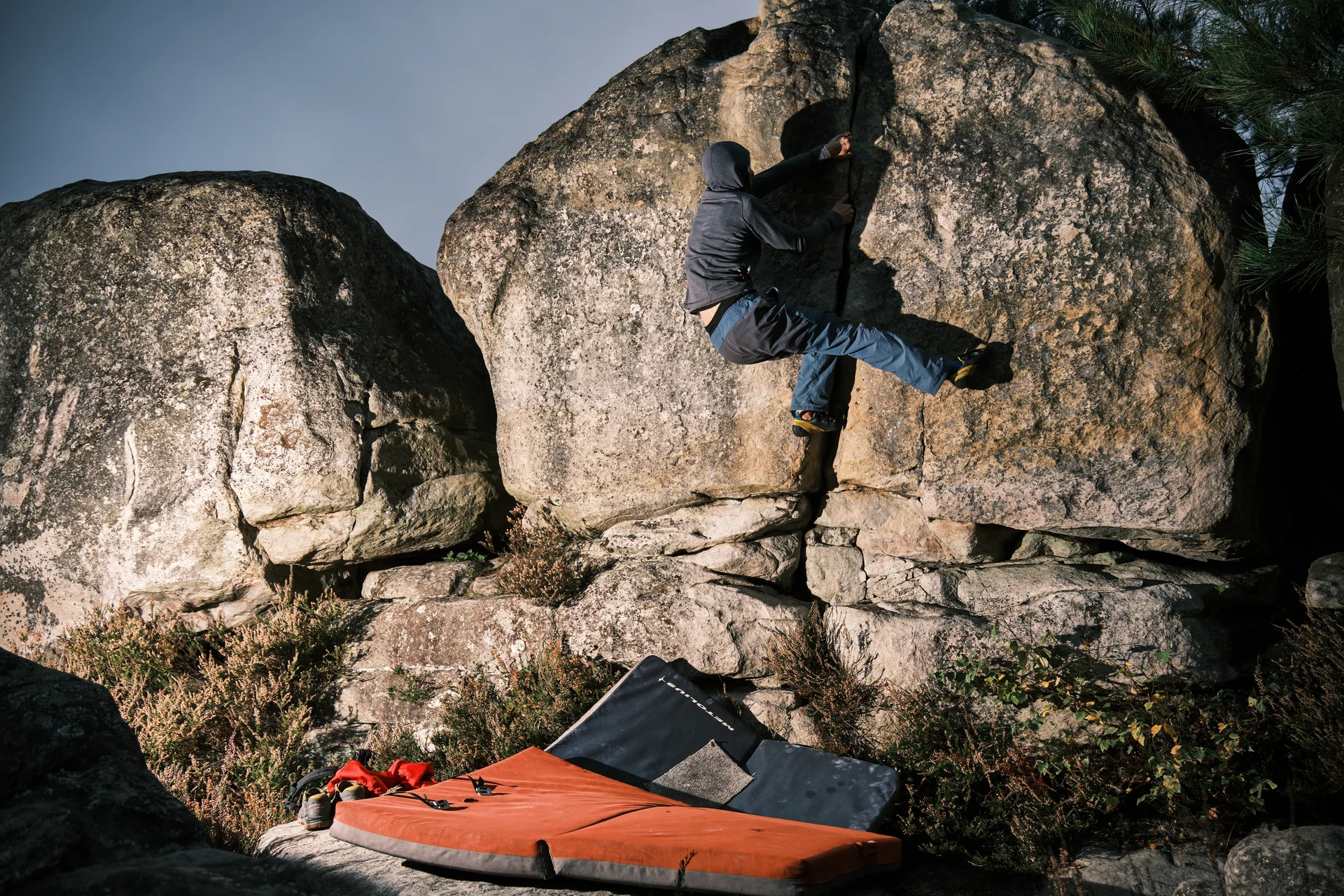 Fontainebleau 2024 | © Benedikt Rauh