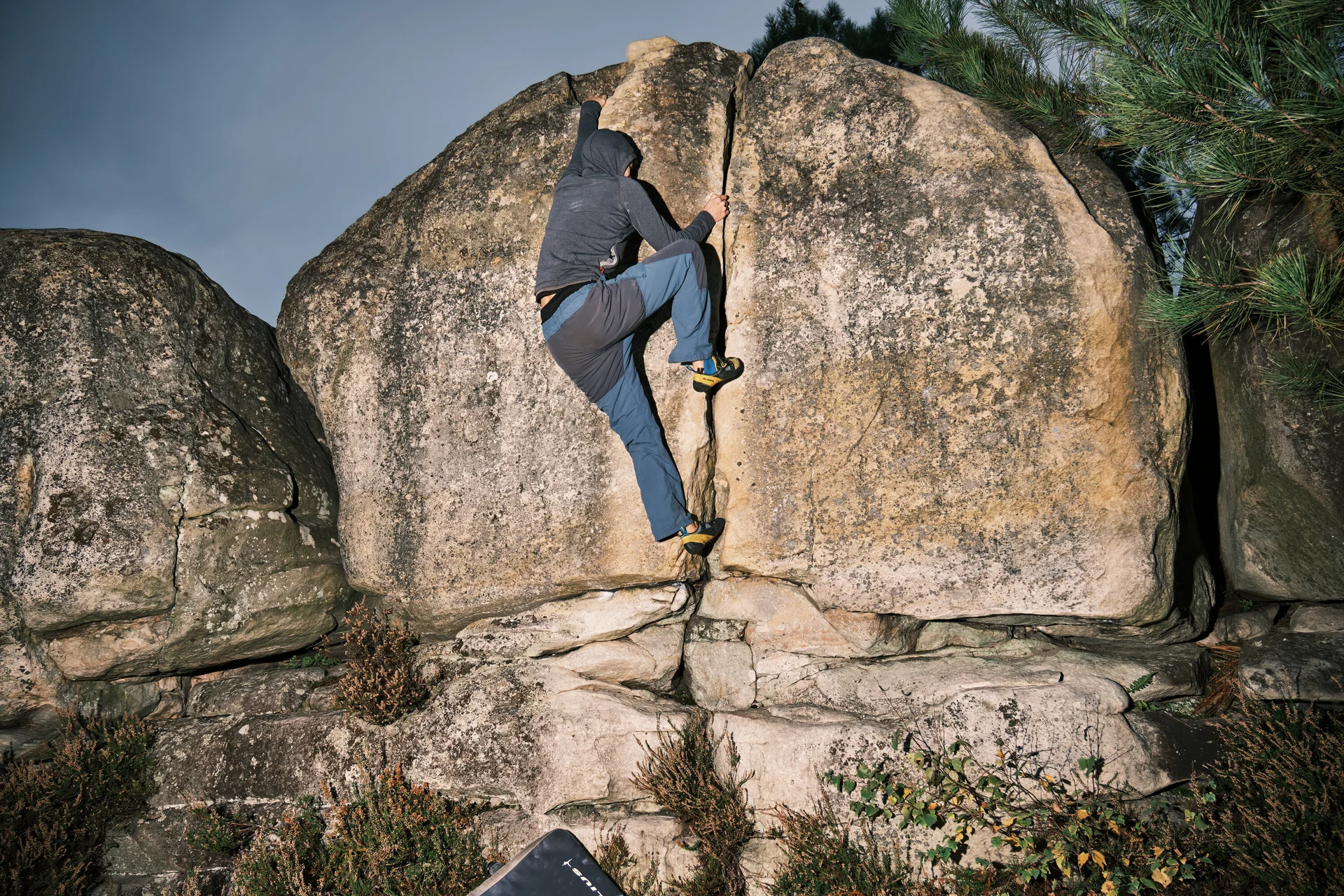 Fontainebleau 2024 | © Benedikt Rauh