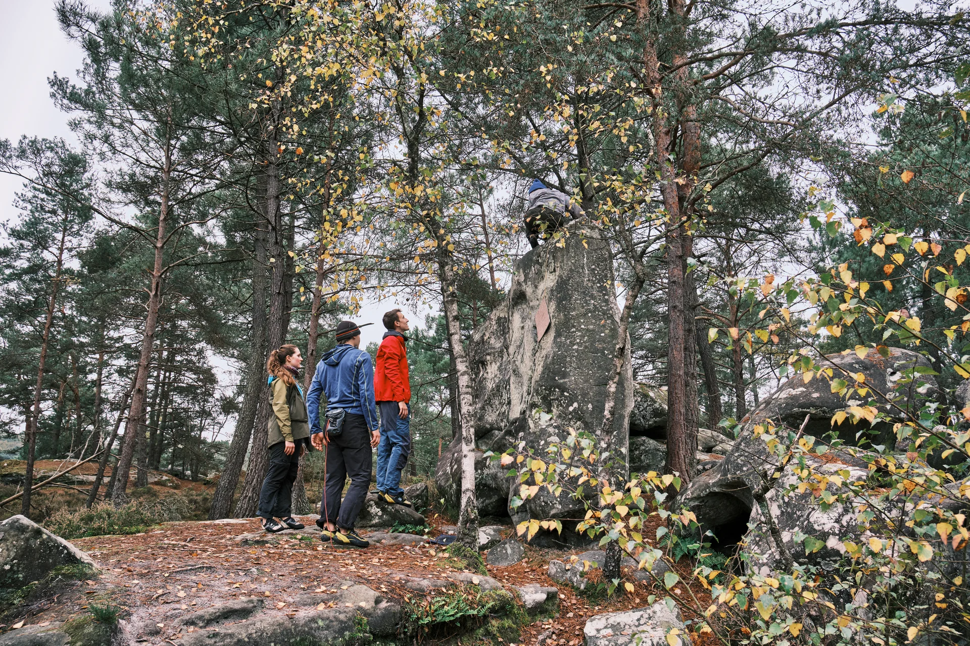 Fontainebleau 2024 | © Benedikt Rauh