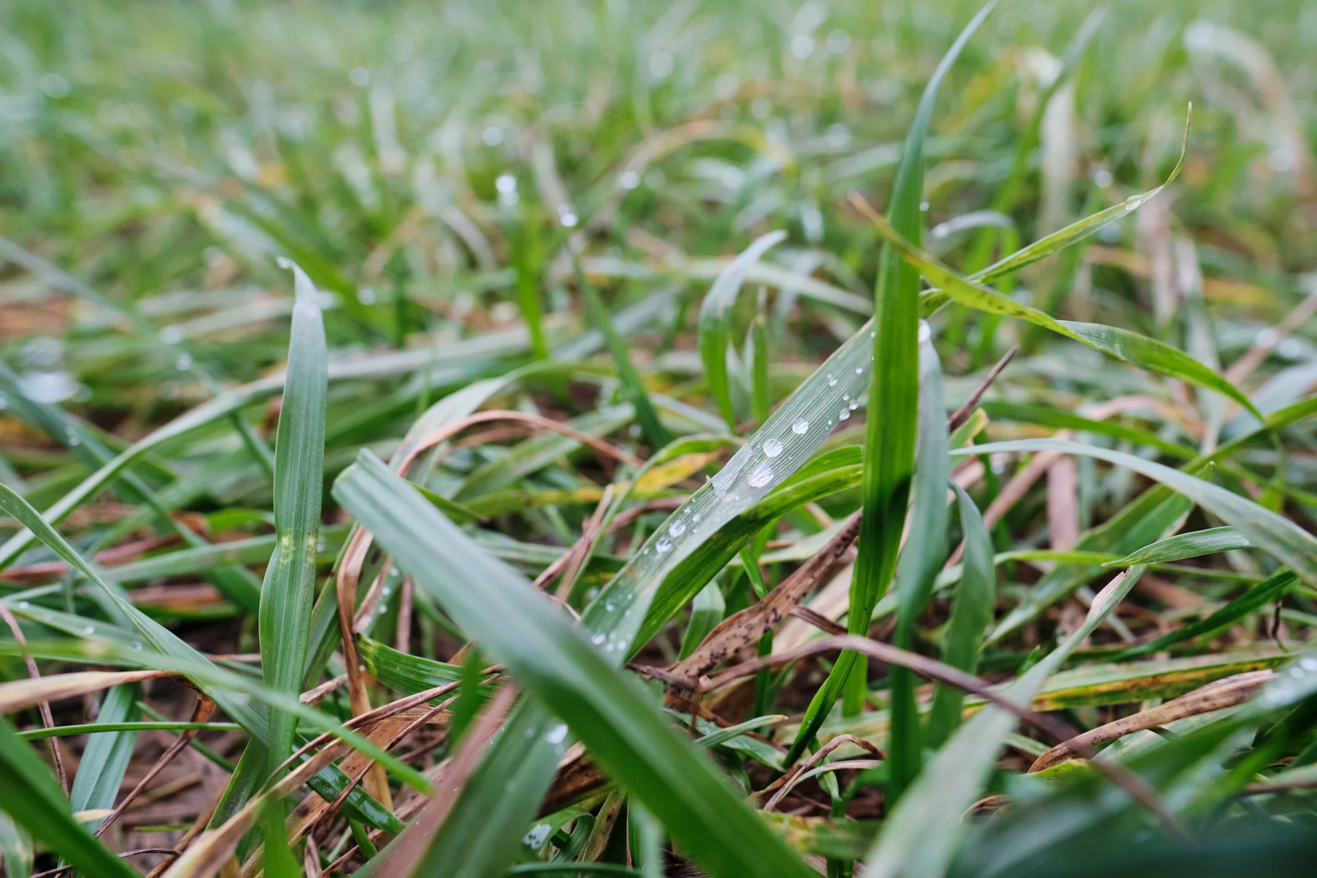 Höhenglücksteig 2024 | © Benedikt Rauh