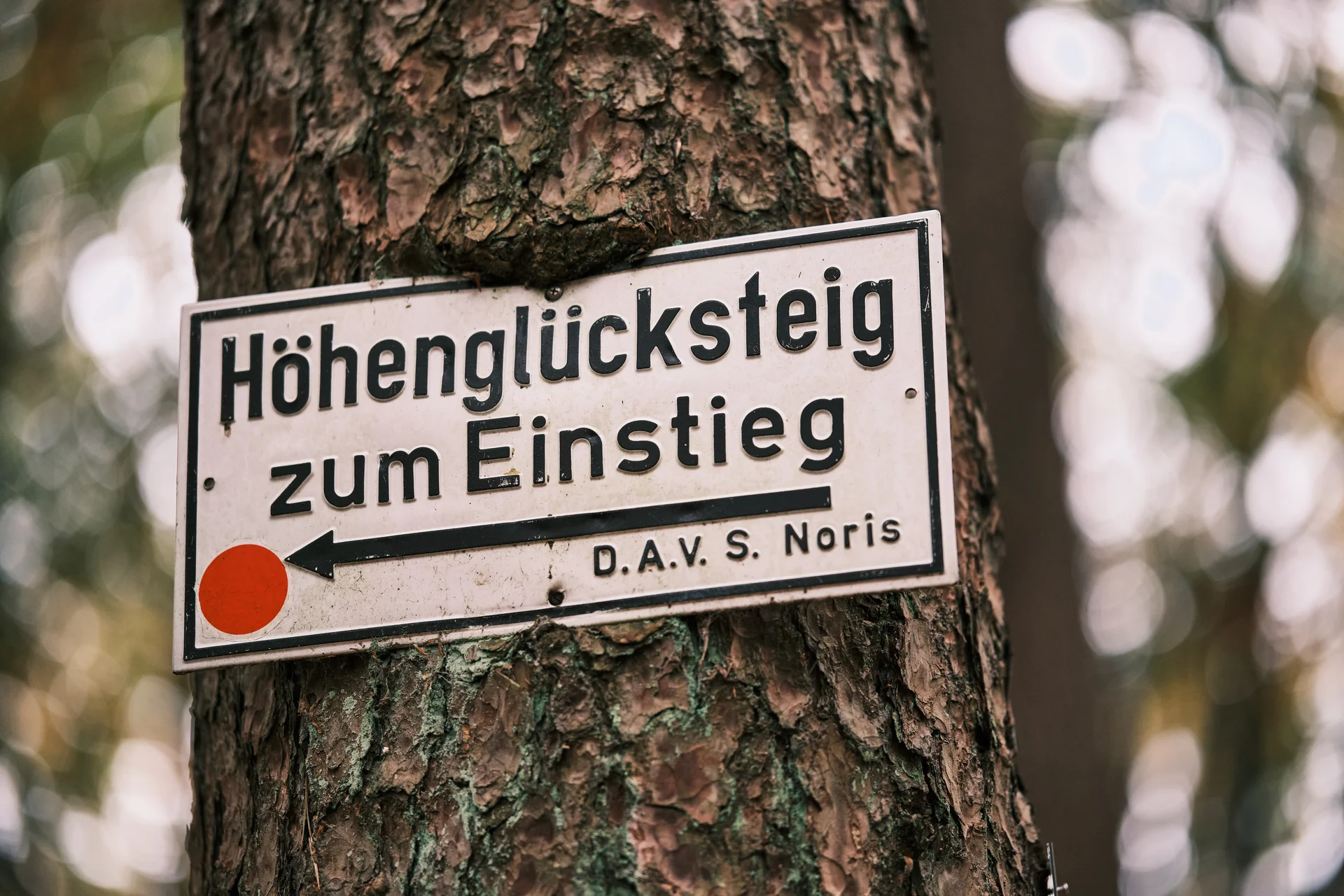 Höhenglücksteig 2024 | © Benedikt Rauh