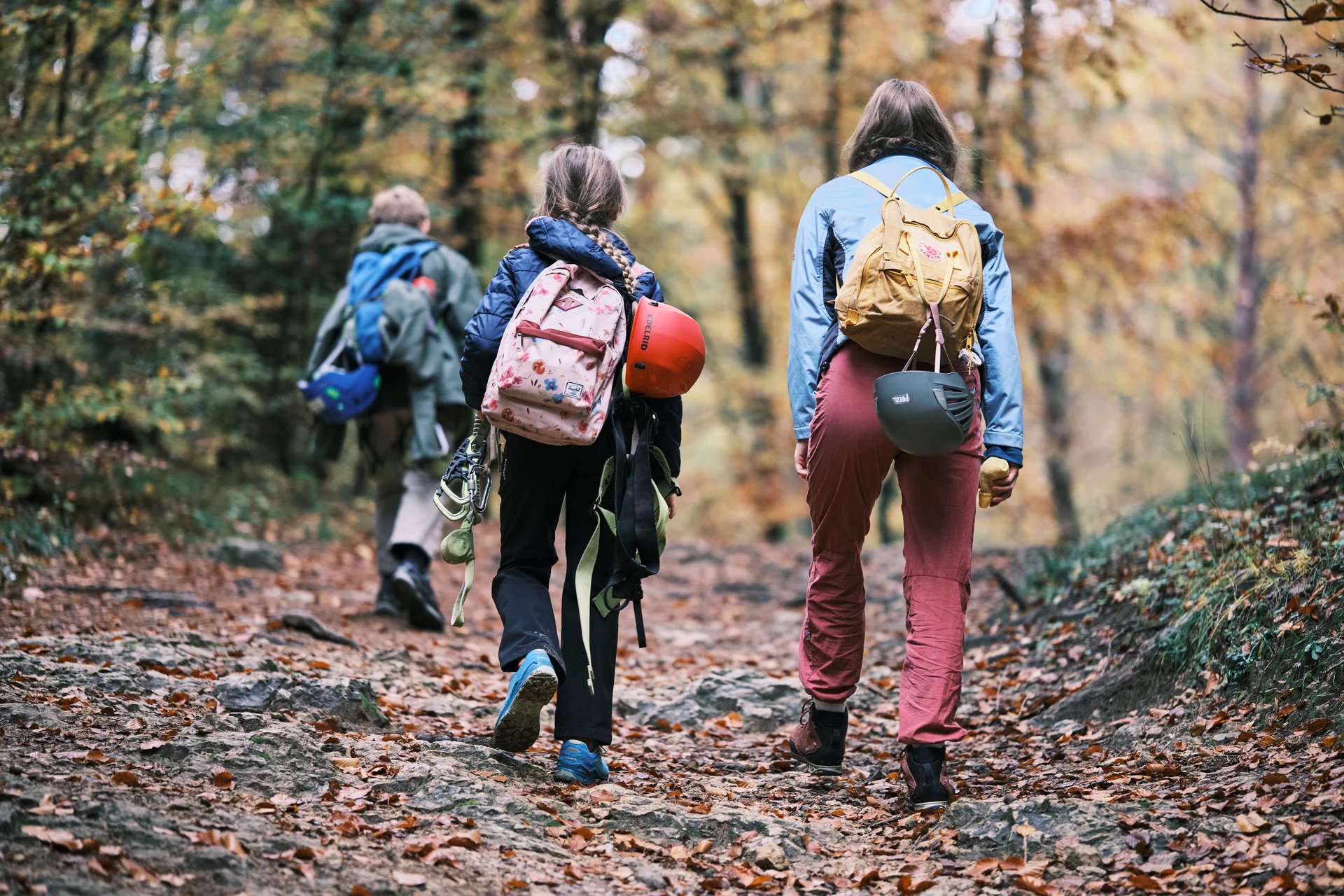 Höhenglücksteig 2024 | © Benedikt Rauh