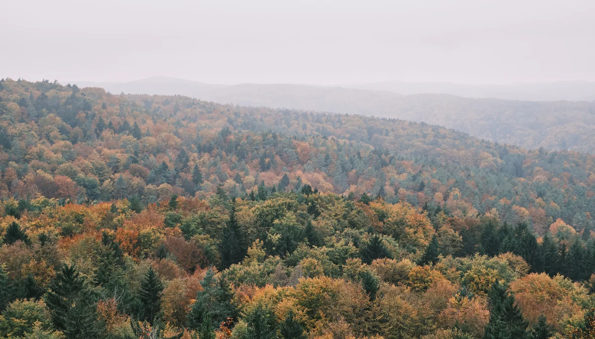 Höhenglücksteig 2024 | © Benedikt Rauh