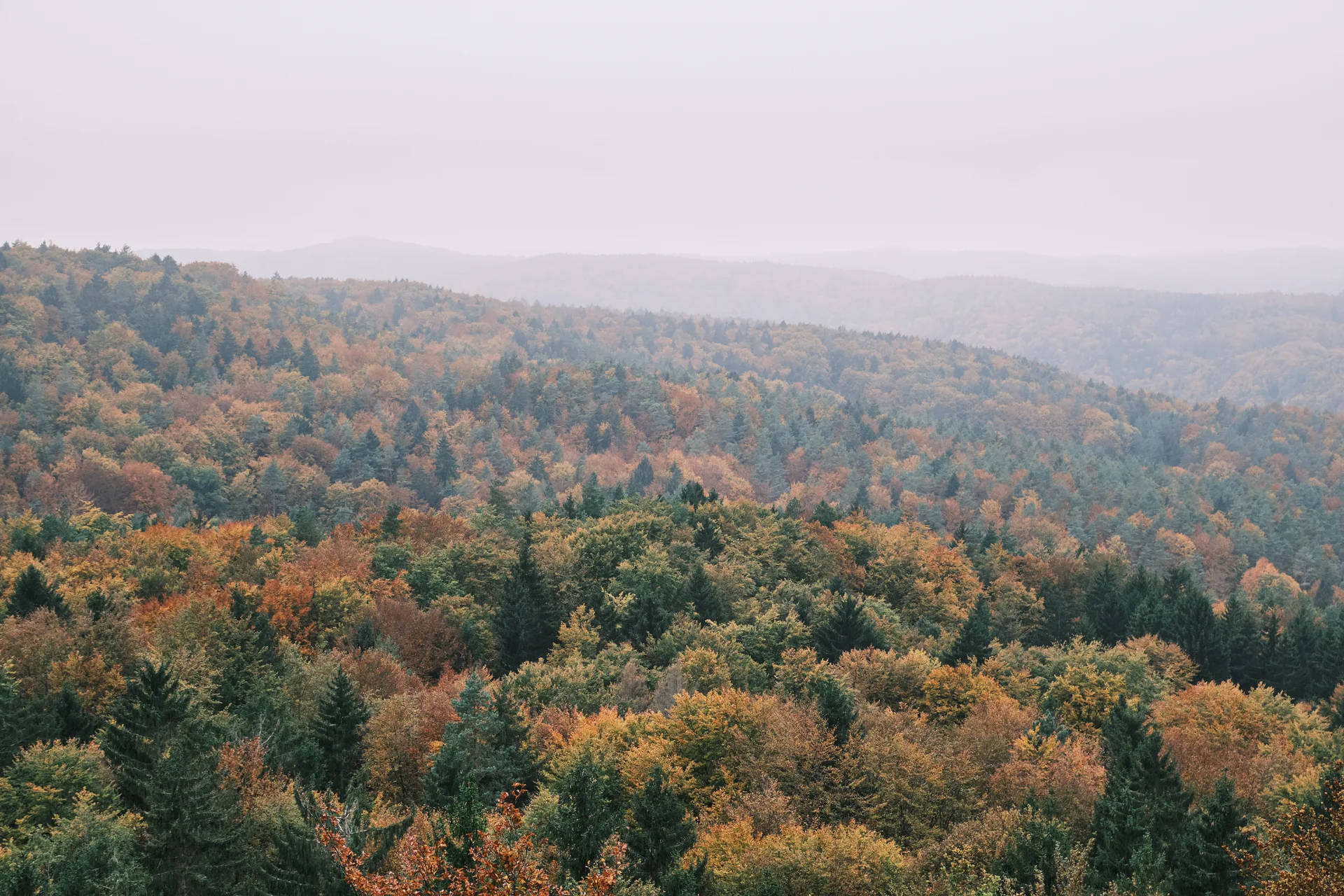 Höhenglücksteig 2024 | © Benedikt Rauh