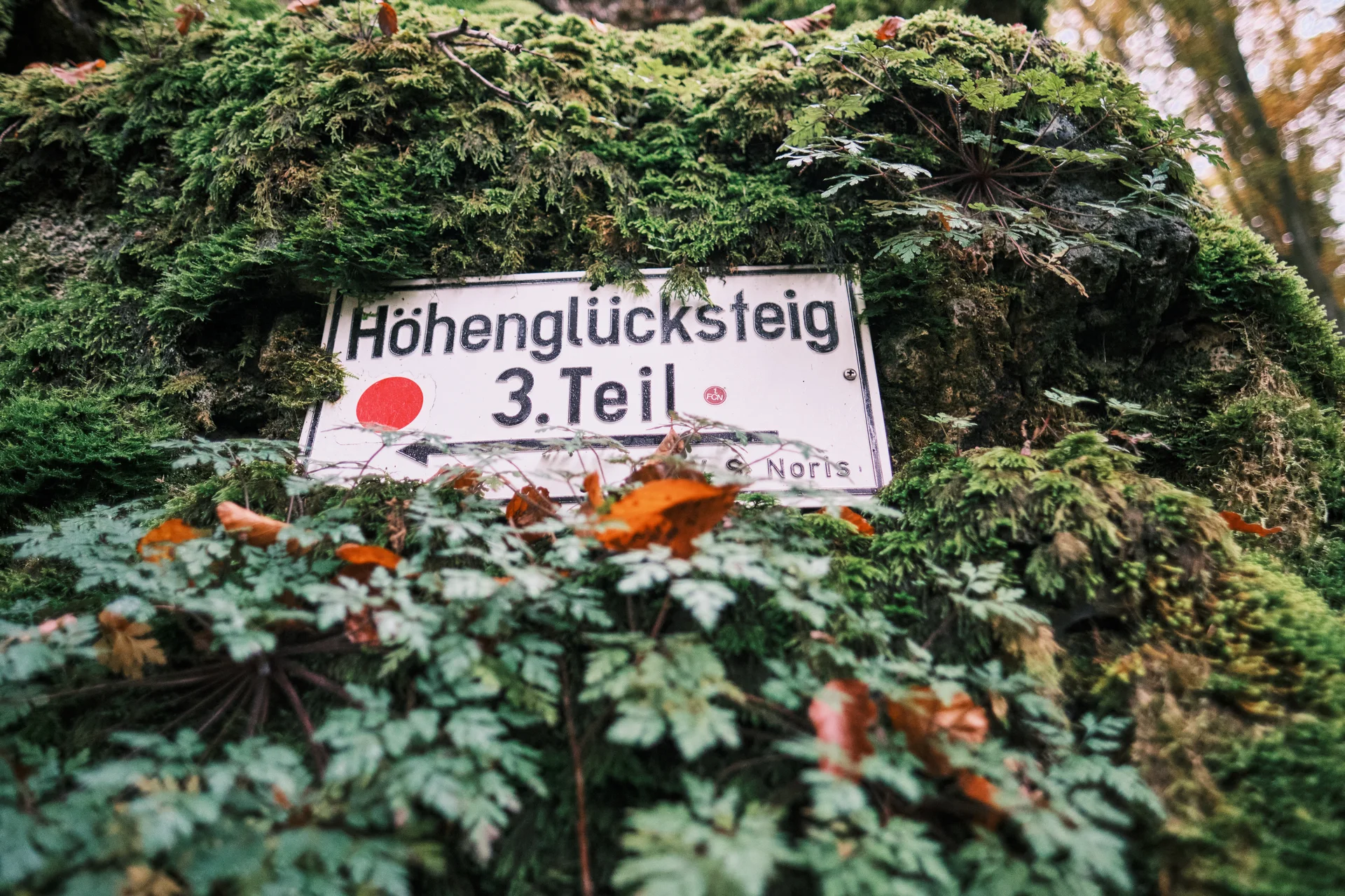 Höhenglücksteig 2024 | © Benedikt Rauh