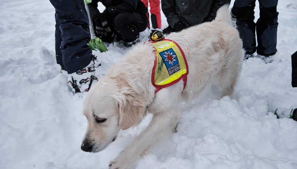 Skitouren Oberstdorf 2024 | © Benedikt Rauh