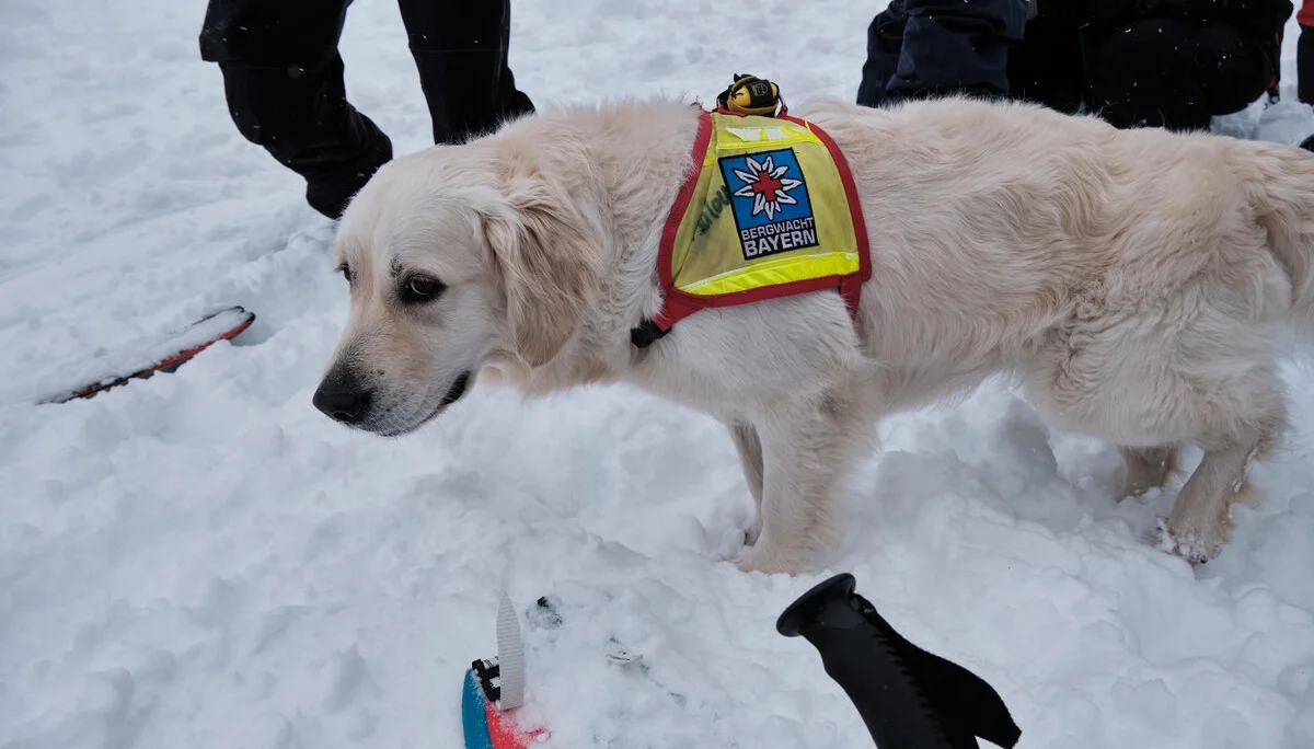 Skitouren Oberstdorf 2024 | © Benedikt Rauh