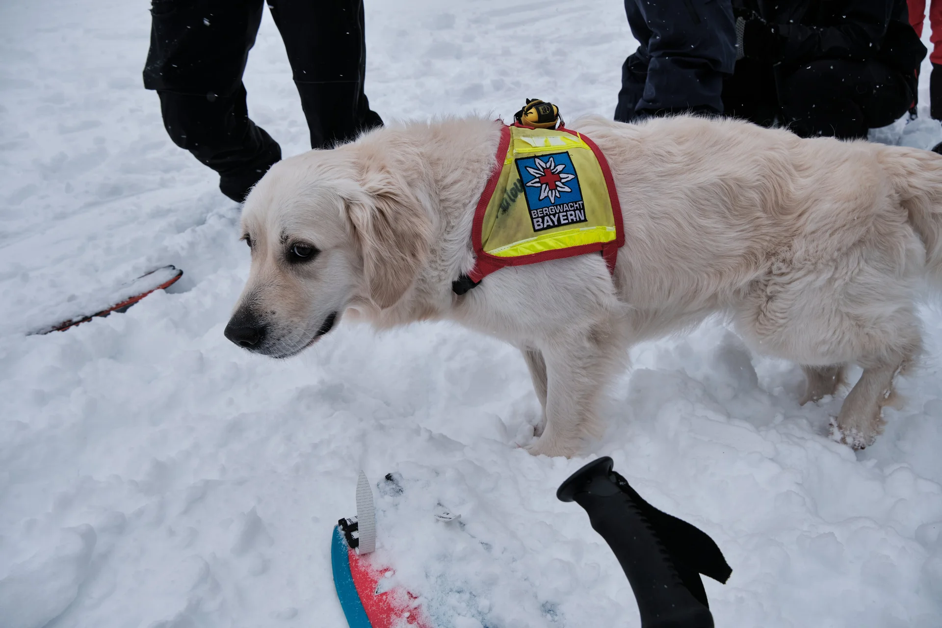 Skitouren Oberstdorf 2024 | © Benedikt Rauh