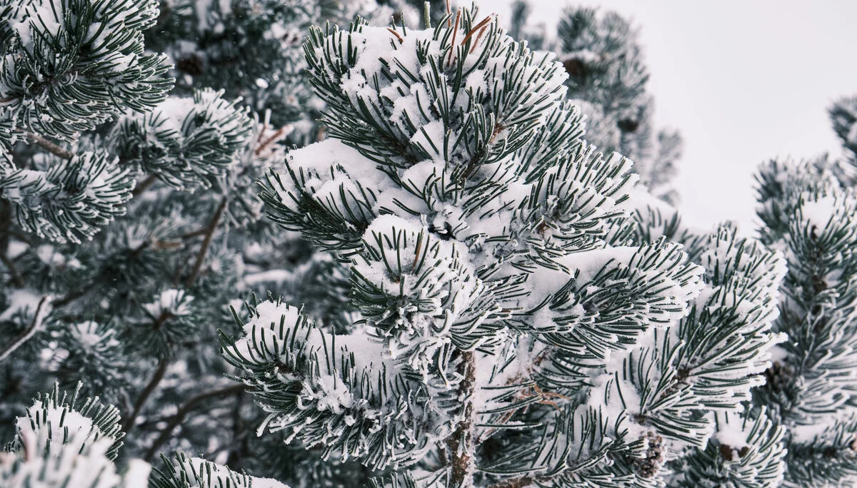 Skitouren Oberstdorf 2024 | © Benedikt Rauh