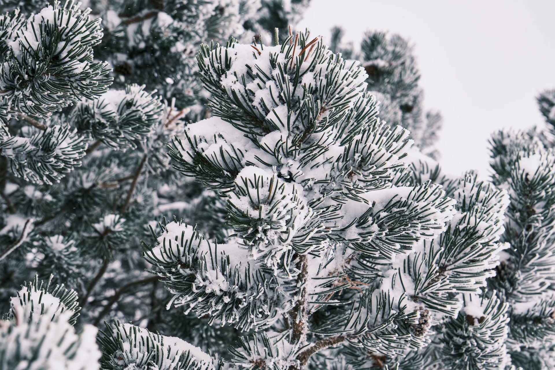 Skitouren Oberstdorf 2024 | © Benedikt Rauh