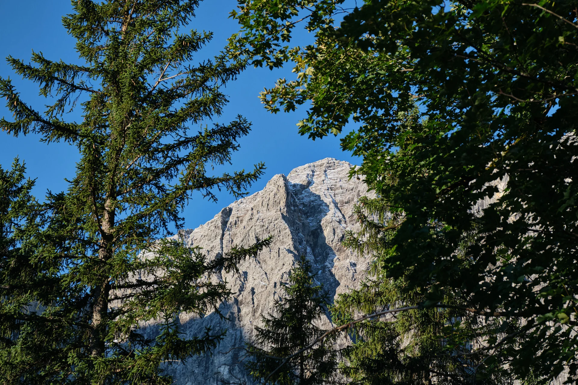 Grubenkarpfeiler | © Benedikt Rauh